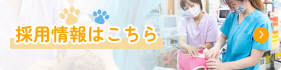 採用情報はこちら