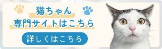 猫ちゃん専門サイトはこちら