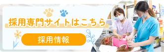 採用専門サイトはこちら