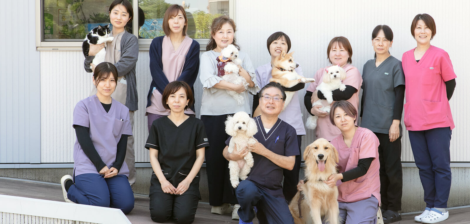 たか動物病院