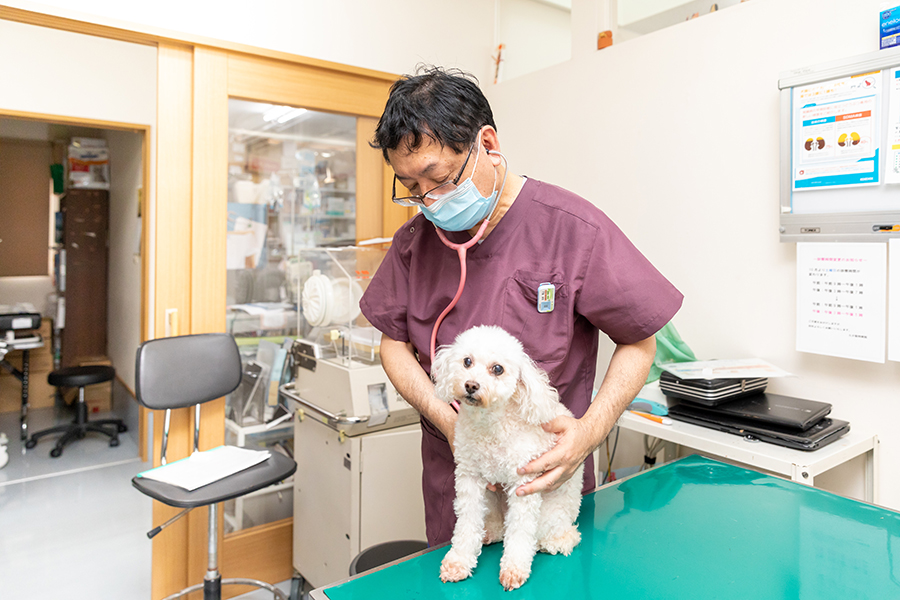 飼い主様が異変に気づくことが大切です