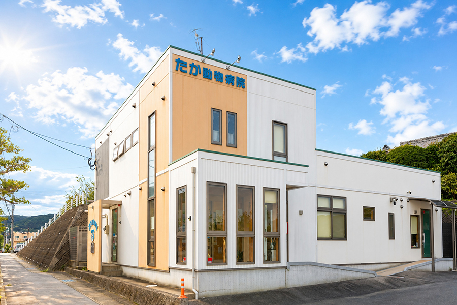 長崎県諫早市のねこちゃんの飼い主様は「たか動物病院」へ