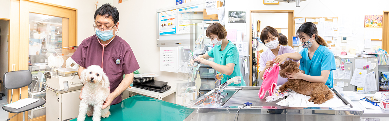 定期健診を受けるメリット