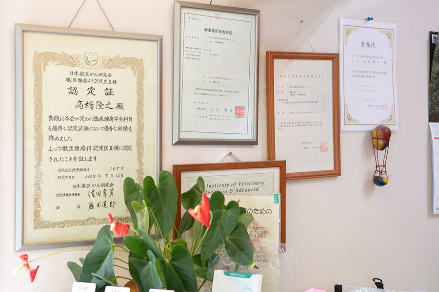 長崎県諫早市でペットの歯の治療をお探しの方へ