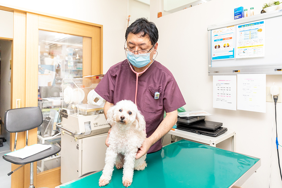 狂犬病予防