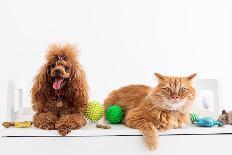 犬・猫でこんな症状はありませんか？