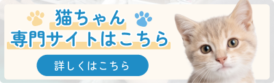 猫ちゃん専門サイトはこちら