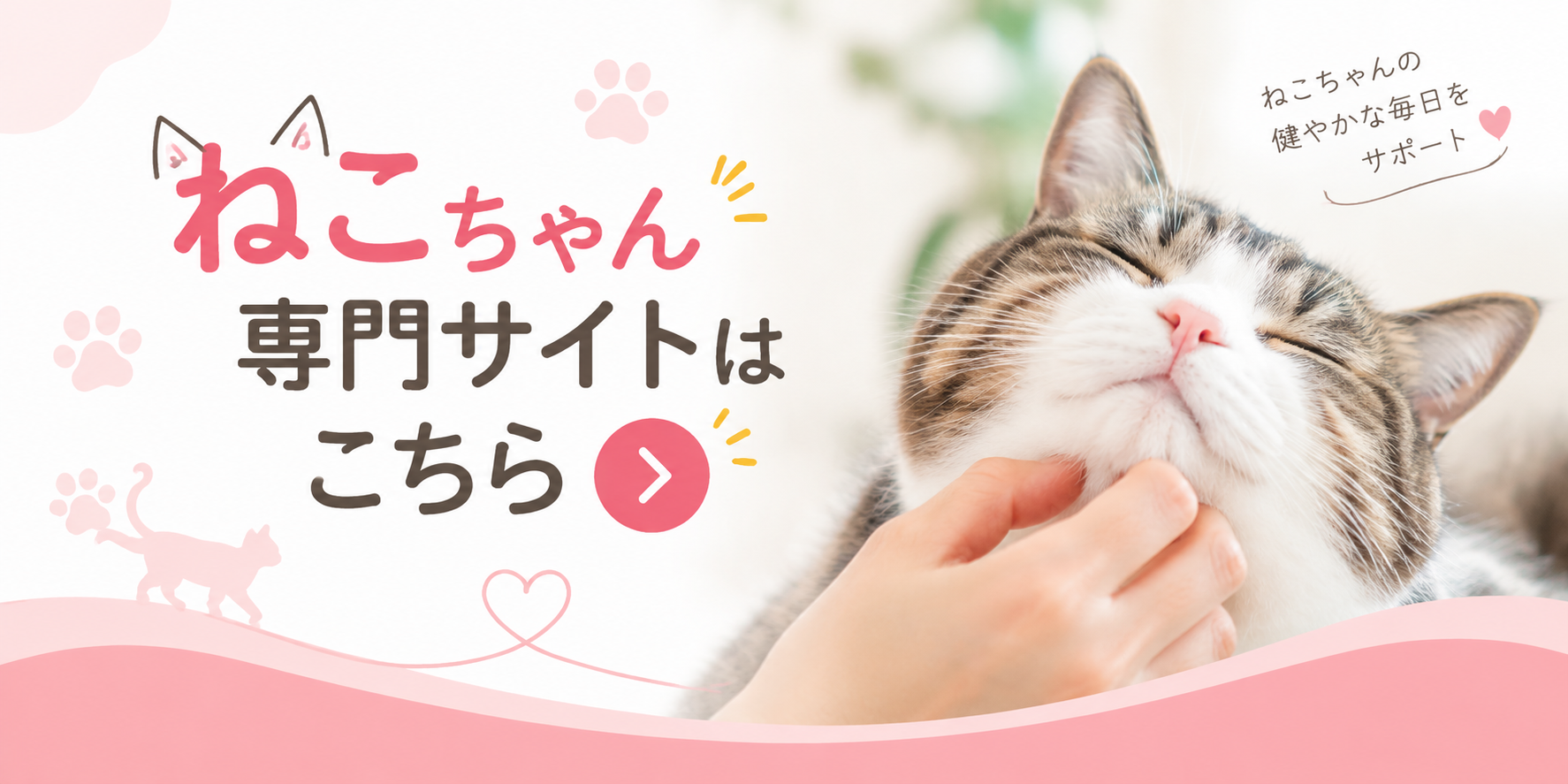 ねこちゃん専門サイトはこちら