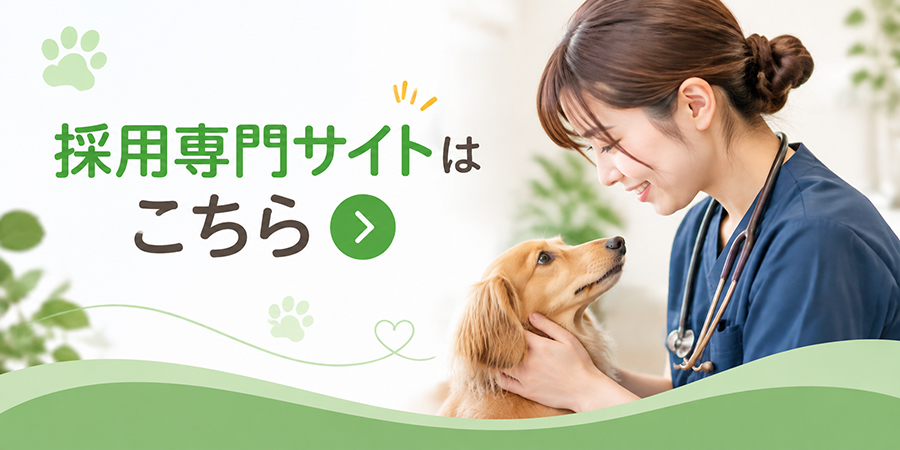 採用専門サイトはこちら
